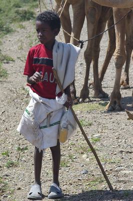 IMGP1577 (A - b).jpg